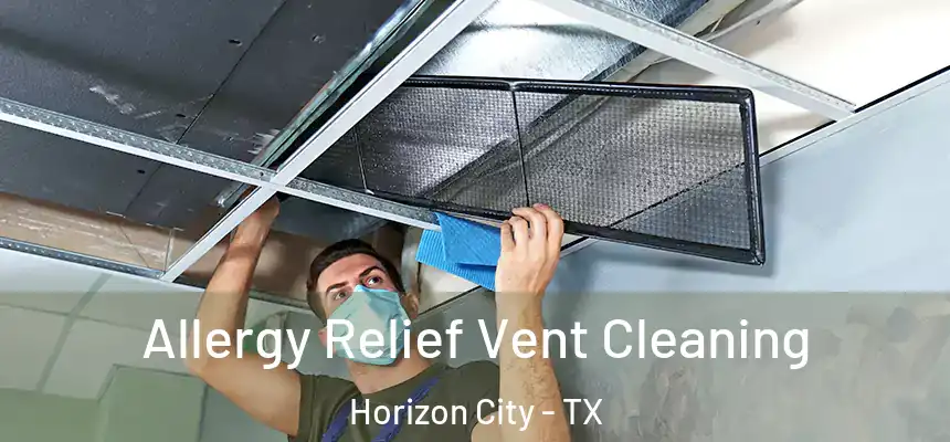  Allergy Relief Vent Cleaning Horizon City - TX
