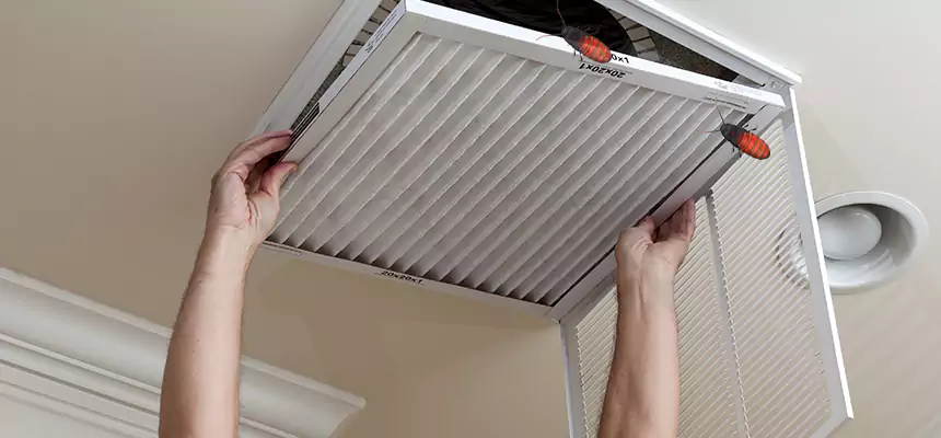 Our Insect Removal from Air Ducts Services in Horizon City, TX