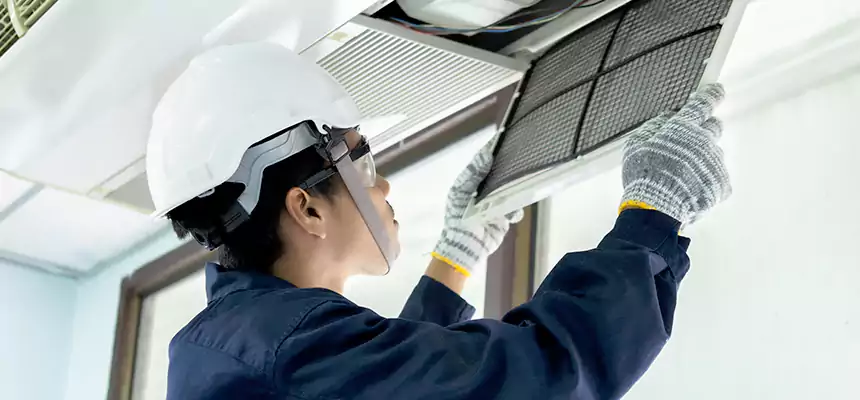 Our Mold & Mildew Removal from Air Ducts Services in Horizon City, TX