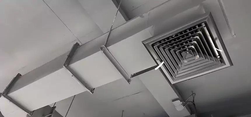 Our Pest Removal From Ducts Services in Horizon City, TX