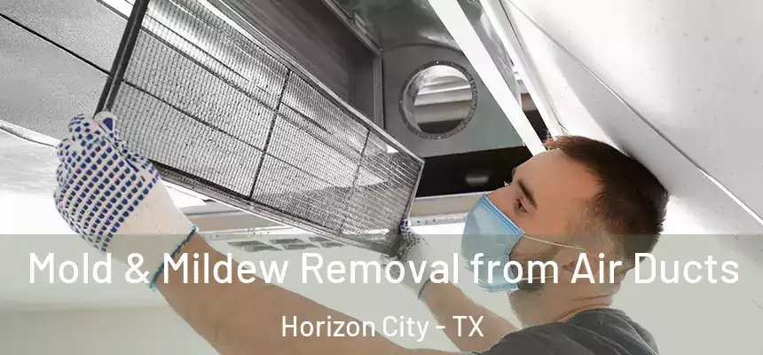  Mold & Mildew Removal from Air Ducts Horizon City - TX