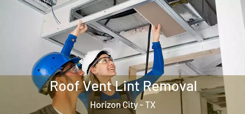  Roof Vent Lint Removal Horizon City - TX