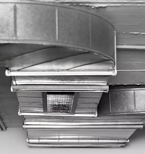 Professional Air Duct Pet Hair Removal in Horizon City, TX