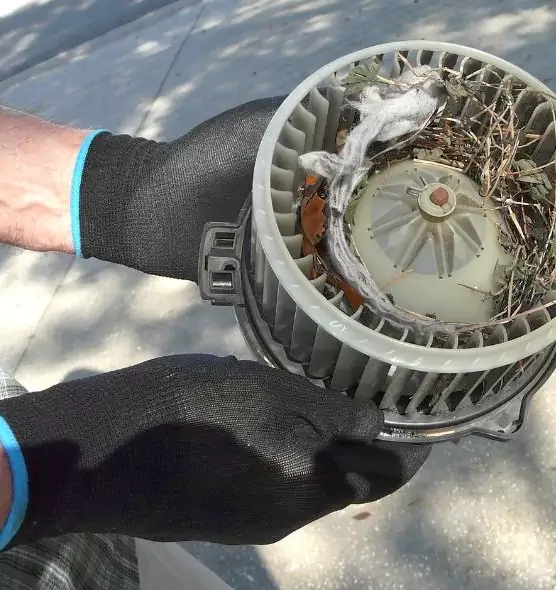 About Air Duct Rat Removal in Horizon City, TX