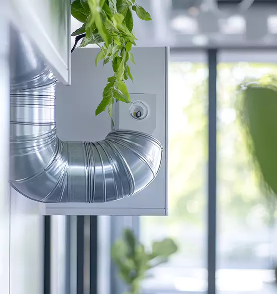 Professional Eco-Safe Dryer Vent Cleaning in Horizon City, TX