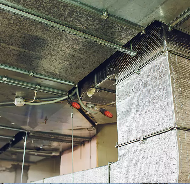 Why Homeowners & Businesses Trust Us in Horizon City, TX?