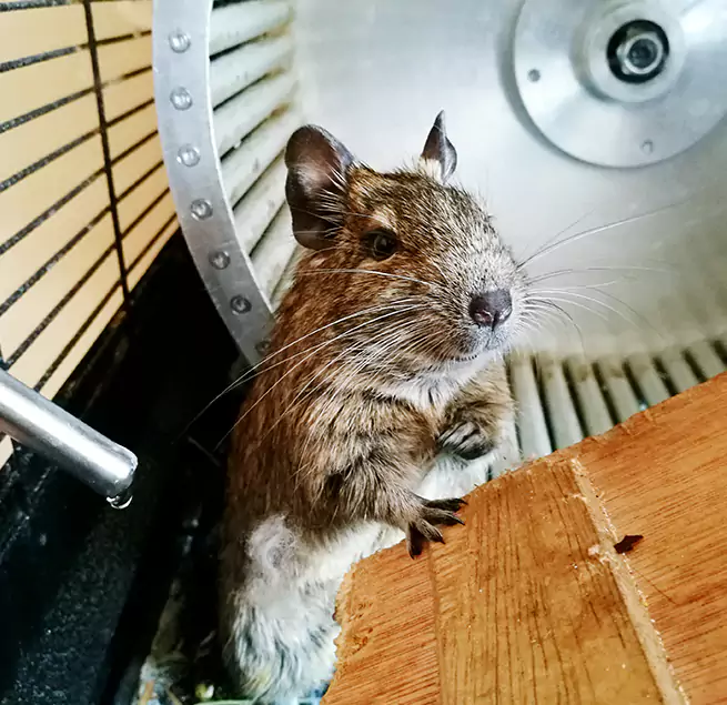 Why Homeowners & Businesses Trust Us Horizon City, TX?